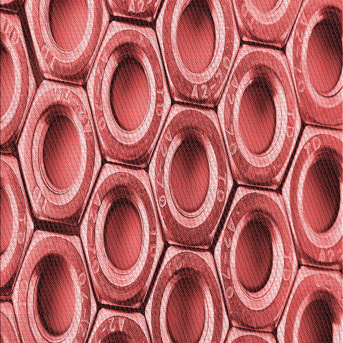 Patterned Red Rug, pat2121rd