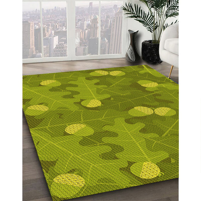 Patterned Pistachio Green Rug in Family Room, pat2122yw