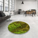 Round Patterned Pistachio Green Rug in a Office, pat2124yw