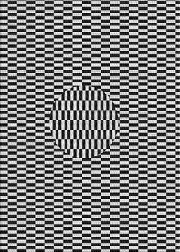 Patterned Light Gray Novelty Rug, pat2126