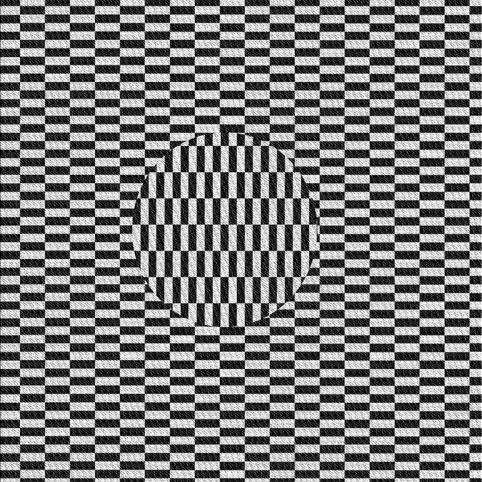 Patterned Light Gray Novelty Rug, pat2126