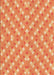 Machine Washable Transitional Orange Rug, wshpat2128org