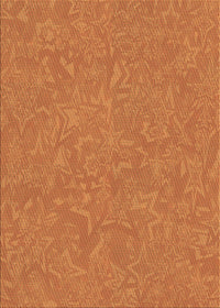 Machine Washable Transitional Orange Red Orange Rug, wshpat2130brn