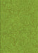Machine Washable Transitional Green Rug, wshpat2130grn