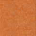 Sideview of Machine Washable Transitional Orange Rug, wshpat2130