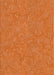 Patterned Orange Novelty Rug, pat2130