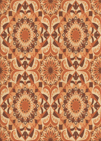 Machine Washable Transitional Orange Rug, wshpat2132org