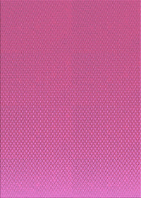 Machine Washable Transitional Deep Pink Rug, wshpat2133pur