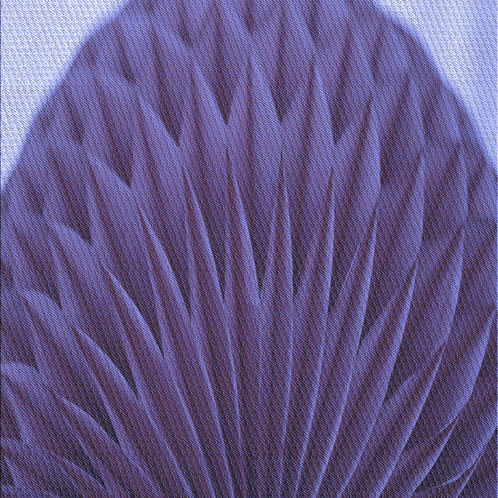 Patterned Purple Rug, pat2135blu