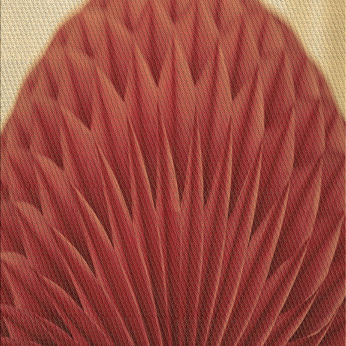 Machine Washable Transitional Red Rug, wshpat2135brn