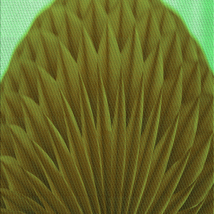 Patterned Green Rug, pat2135grn