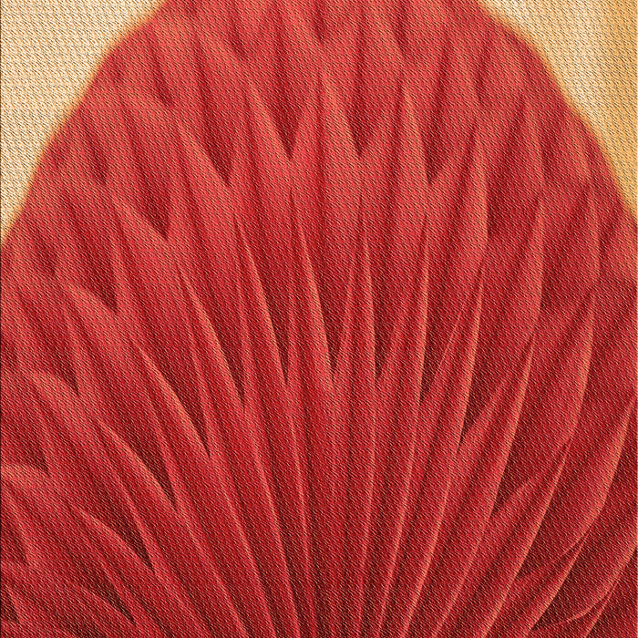 Patterned Bright Orange Rug, pat2135org