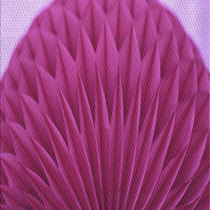 Patterned Crimson Purple Rug, pat2135pur