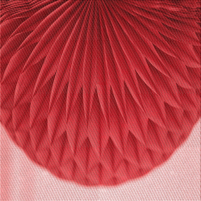 Round Patterned Red Rug, pat2135rd