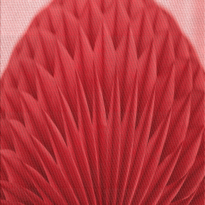 Patterned Red Rug, pat2135rd