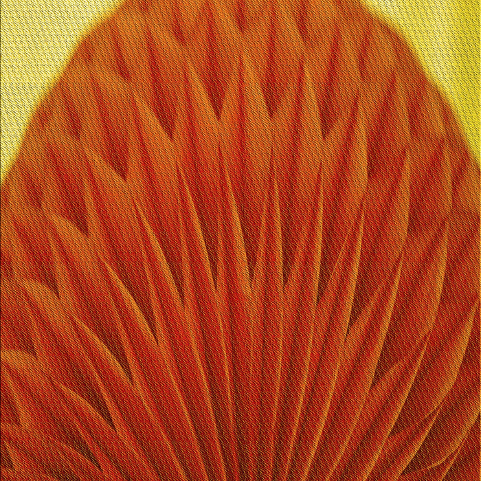 Patterned Orange Rug, pat2135yw