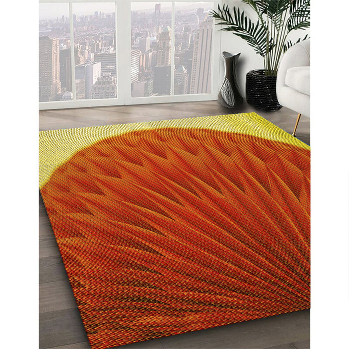 Machine Washable Transitional Orange Rug in a Family Room, wshpat2135yw