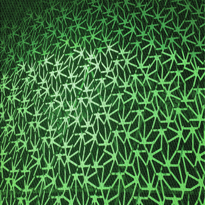 Patterned Dark Forest Green Rug, pat2141grn