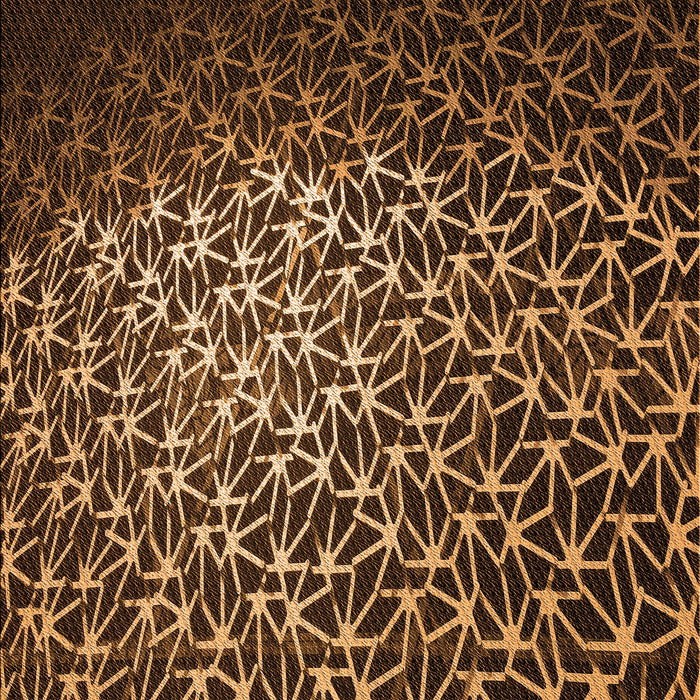 Machine Washable Transitional Black Brown Rug, wshpat2141org