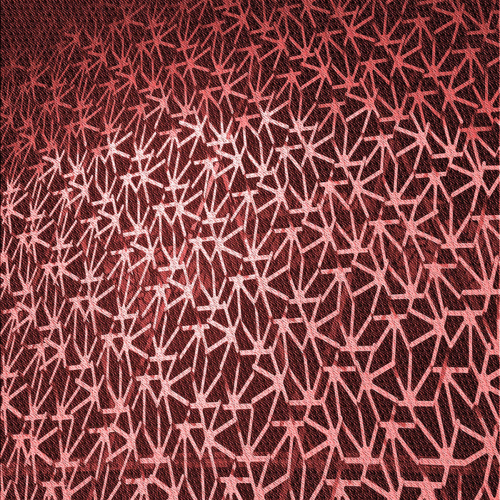 Patterned Red Rug, pat2141rd