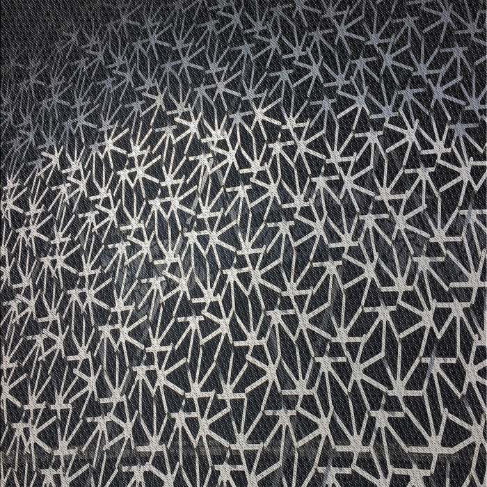 Patterned Black Novelty Rug, pat2141