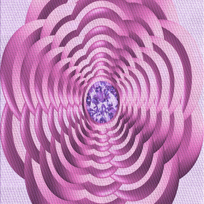 Machine Washable Transitional Blossom Pink Rug, wshpat2144pur