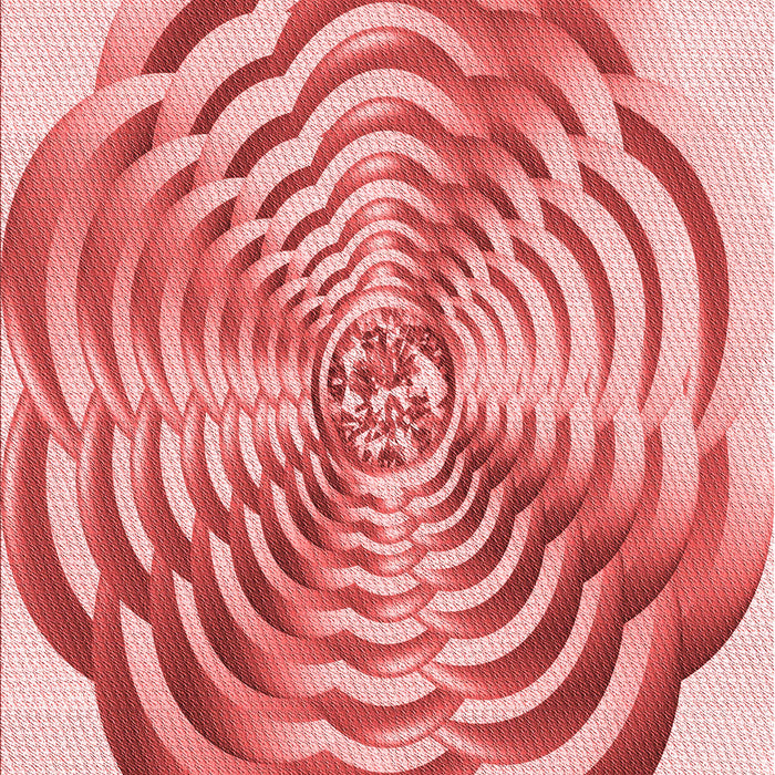 Patterned Pink Rug, pat2144rd