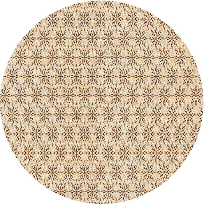 Square Machine Washable Transitional Bronze Brown Rug in a Living Room, wshpat2146org