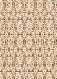 Machine Washable Transitional Bronze Brown Rug, wshpat2146org