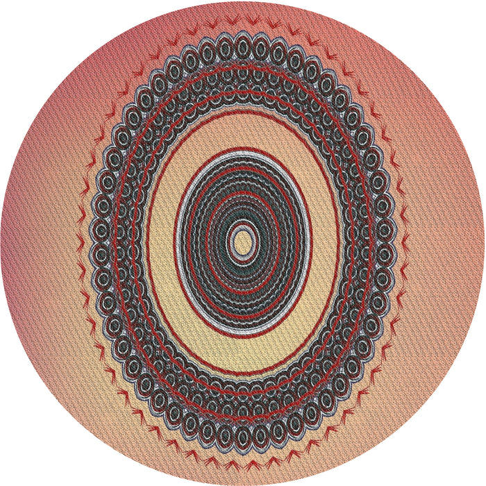 Sideview of Patterned Brown Red Novelty Rug, pat2147