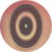 Sideview of Patterned Brown Red Novelty Rug, pat2147