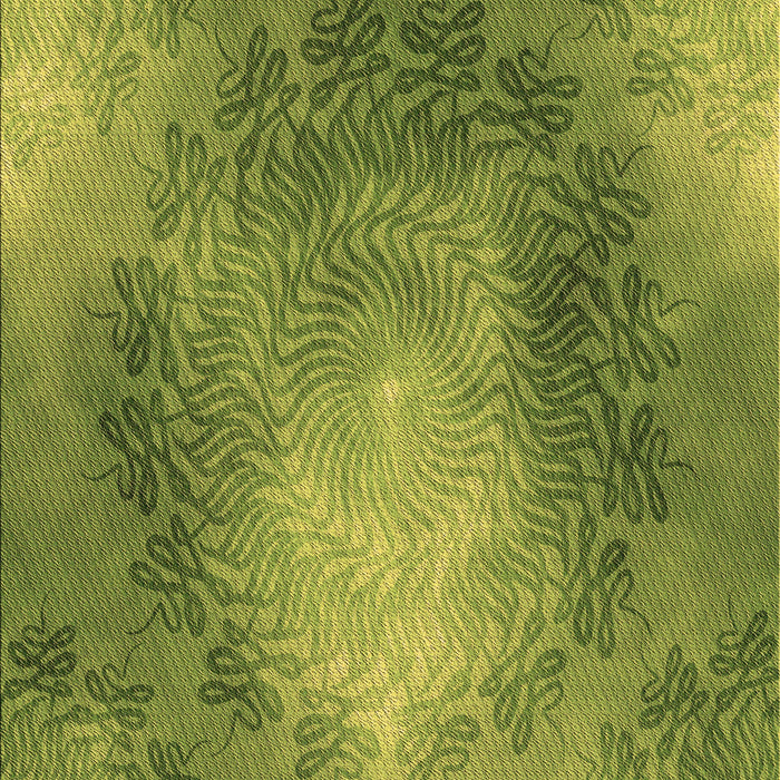 Machine Washable Transitional Pistachio Green Rug, wshpat2152brn