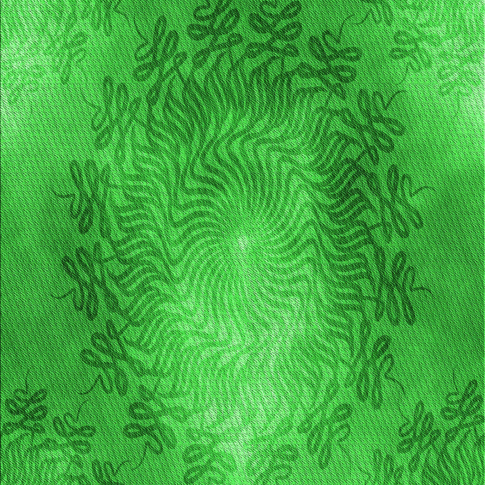 Patterned Lime Green Rug, pat2152grn