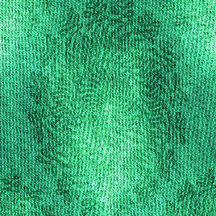 Machine Washable Transitional Spring Green Rug, wshpat2152lblu