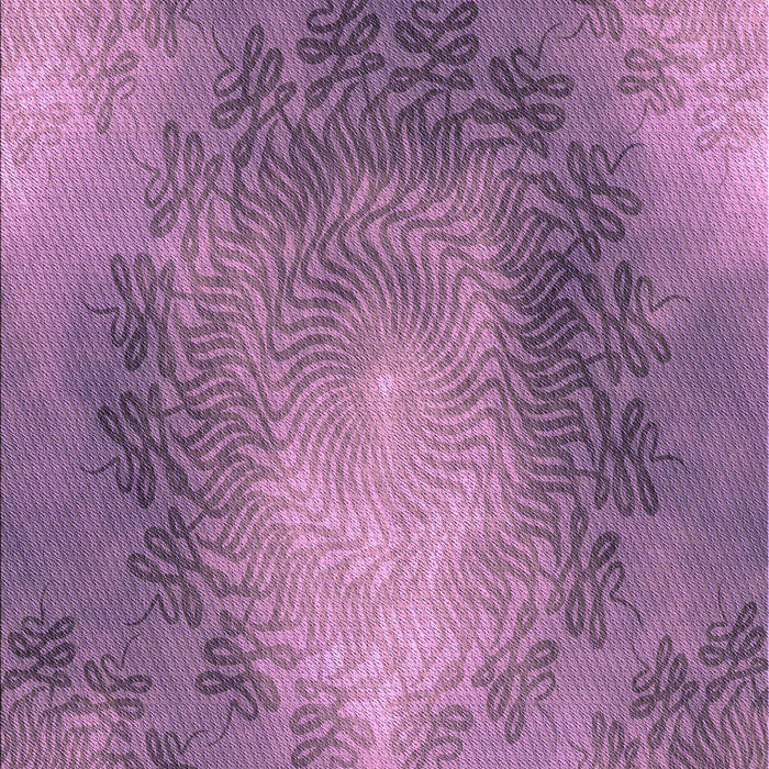 Machine Washable Transitional Orchid Purple Rug, wshpat2152pur