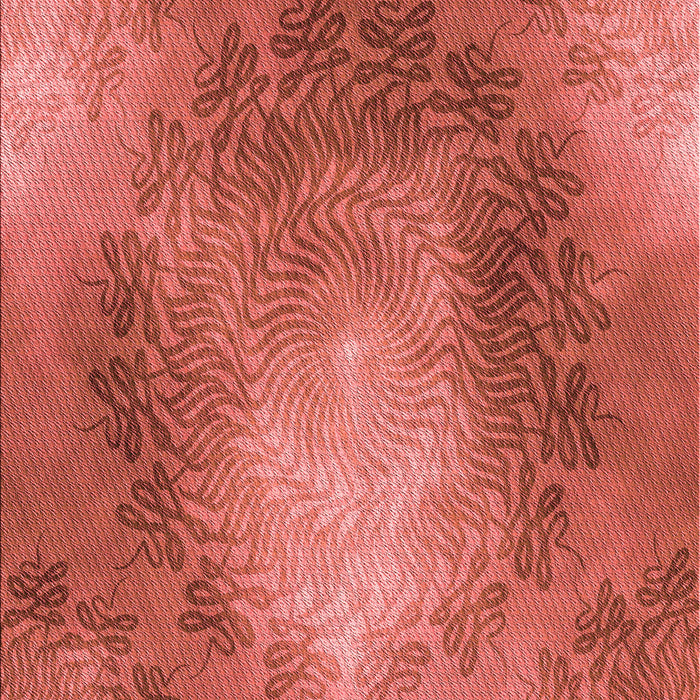 Machine Washable Transitional Red Rug, wshpat2152rd