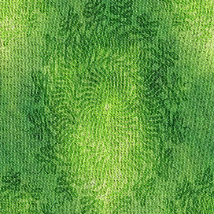 Machine Washable Transitional Green Rug, wshpat2152