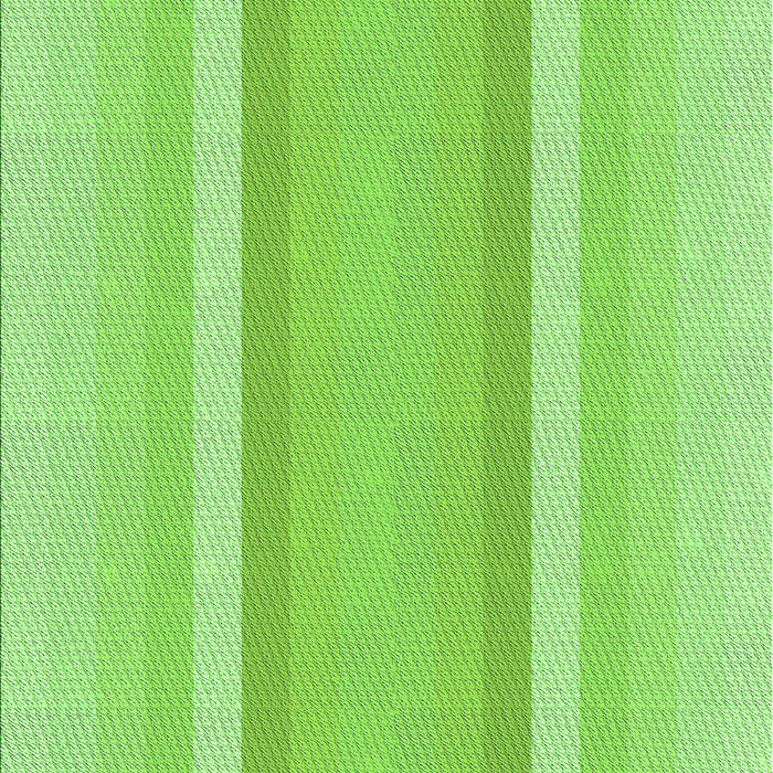 Machine Washable Transitional Green Rug, wshpat2155grn