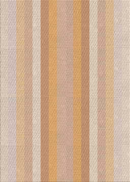 Patterned Deep Peach Orange Novelty Rug, pat2155