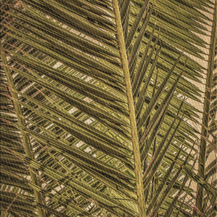 Machine Washable Transitional Bakers Brown Rug, wshpat2156brn