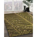 Machine Washable Transitional Bakers Brown Rug in a Family Room, wshpat2156brn