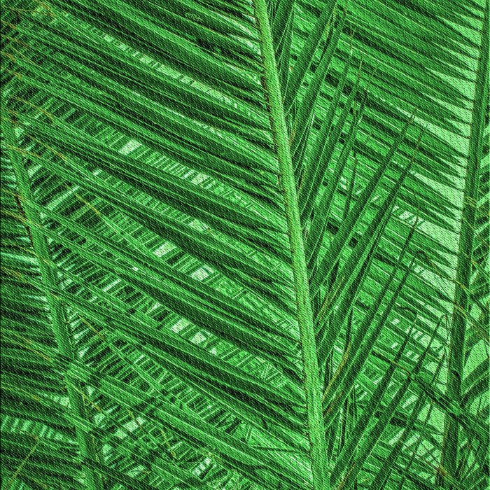 Machine Washable Transitional Dark Green Rug, wshpat2156grn