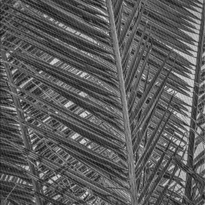 Machine Washable Transitional Charcoal Black Rug, wshpat2156gry