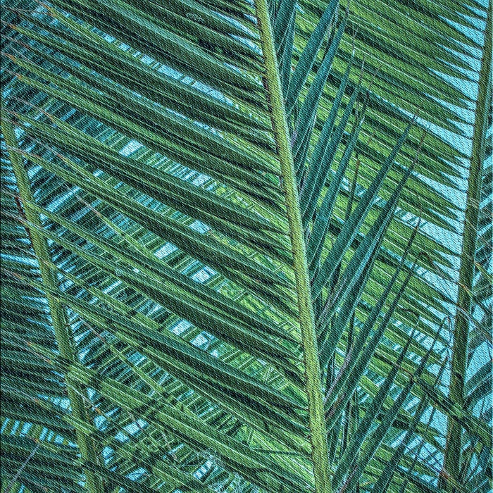 Patterned Mint Green Rug, pat2156lblu