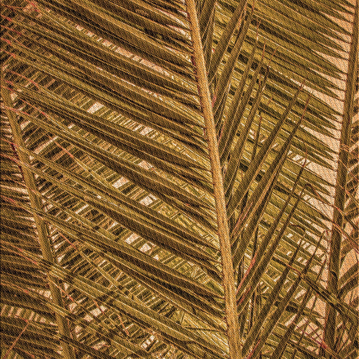 Machine Washable Transitional Red Brown Rug, wshpat2156org