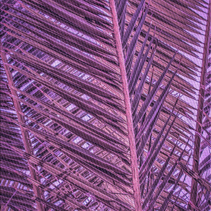 Patterned Medium Orchid Purple Rug, pat2156pur