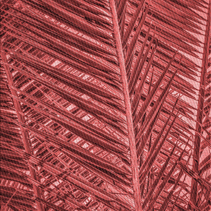 Patterned Red Rug, pat2156rd