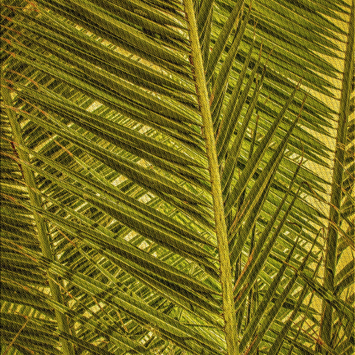 Patterned Milk Chocolate Brown Rug, pat2156yw