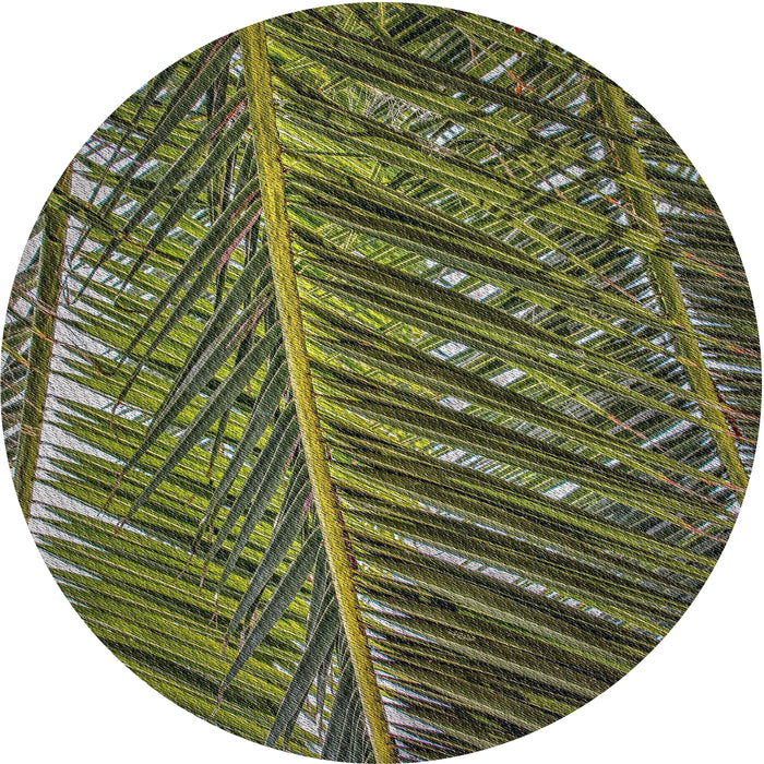 Sideview of Patterned Dark Forest Green Novelty Rug, pat2156