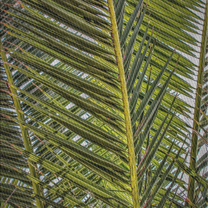 Patterned Dark Forest Green Novelty Rug, pat2156